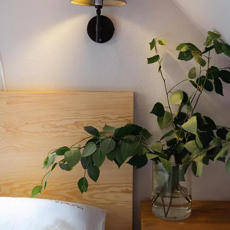 Diuna Apartman *